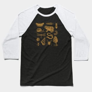 Goblincore Frogs, Snails, Moths, and Mushrooms in a Vintage Biology Aesthetic Baseball T-Shirt